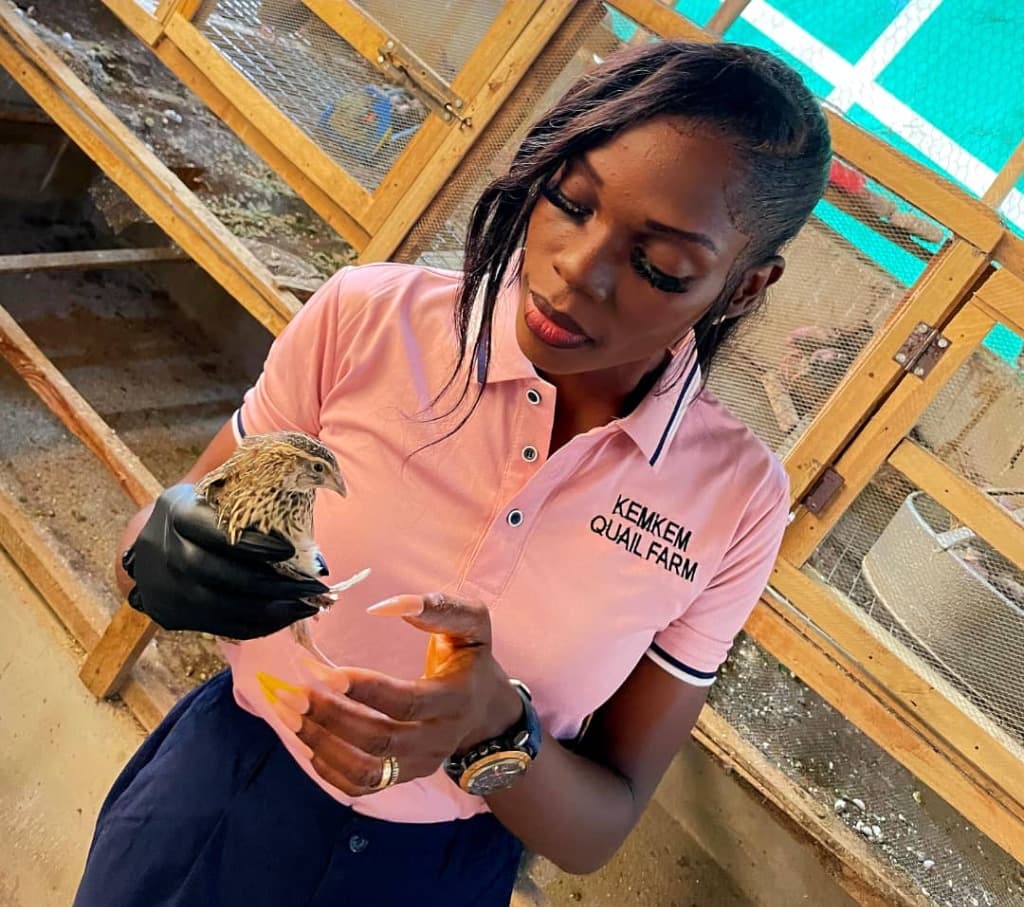 CEO Kemkem Quail Farm holding quail